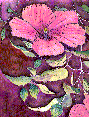Watercolor